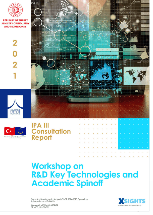 ipa_iii_consultation_report_rd_key_technologies_and_academic_spinoff_workshop_findings_august_min