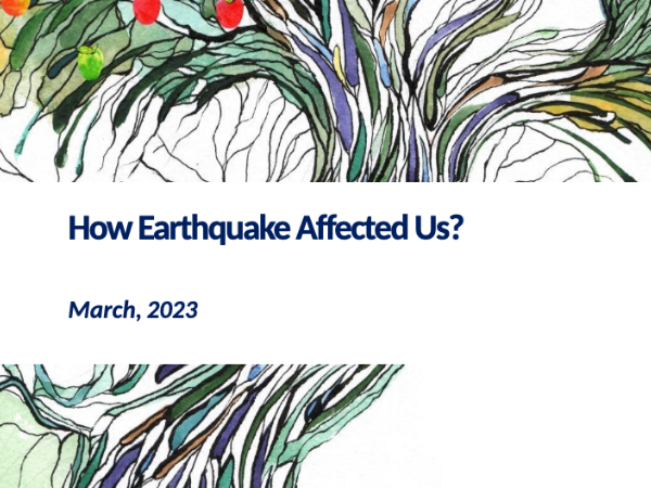how-earthquake-affected-us